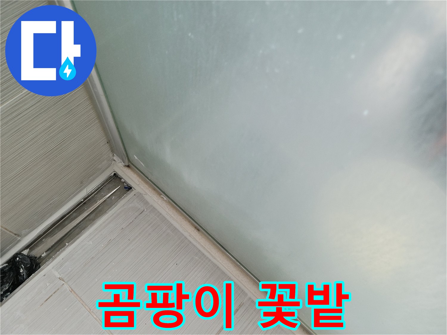 샤워부스 누수 - 곰팡이 꽃밭 - 실리콘
