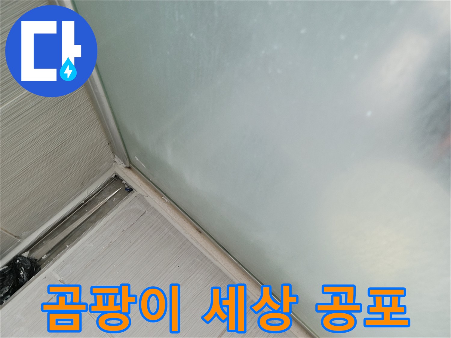 샤워부스 누수 - 곰팡이 세상 - 실리콘 들뜸