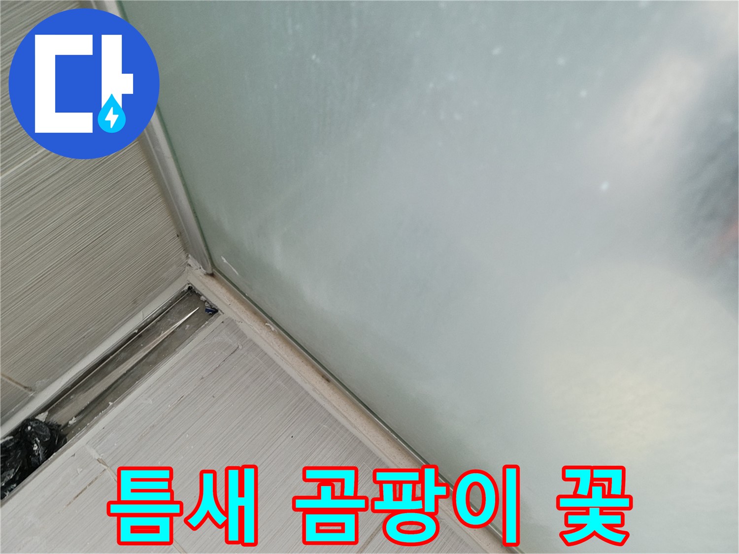 샤워부스 누수 - 틈새 - 곰팡이 꽃