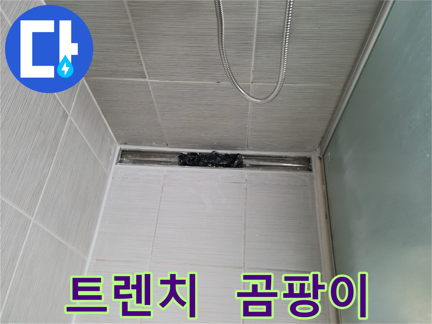 샤워부스 트렌치 - 곰팡이 식민지 - 으악!