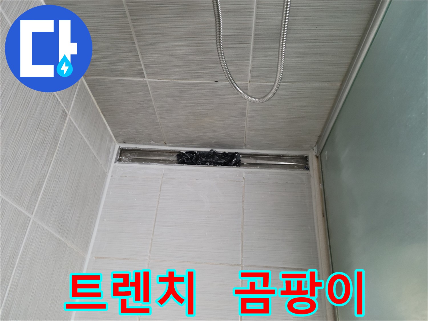 샤워부스 트렌치 - 곰팡이 정글! - 숨 막혀!