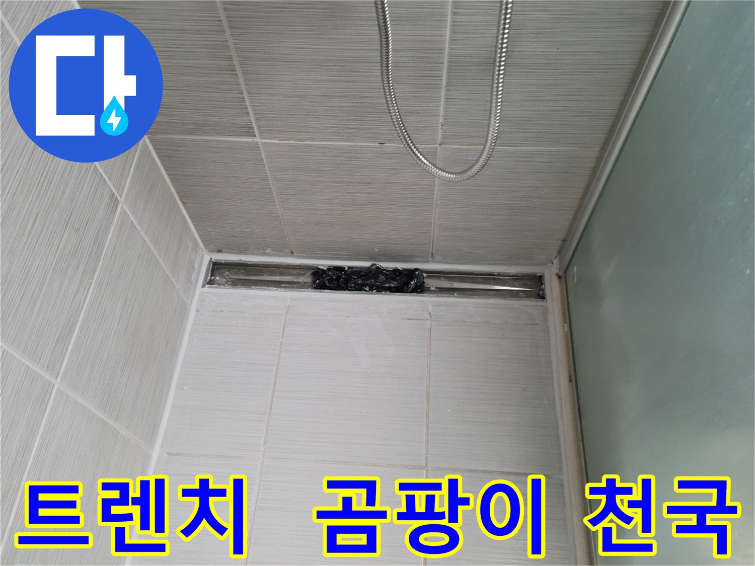 샤워부스 트렌치 - 곰팡이 천국 - 숨 막혀!