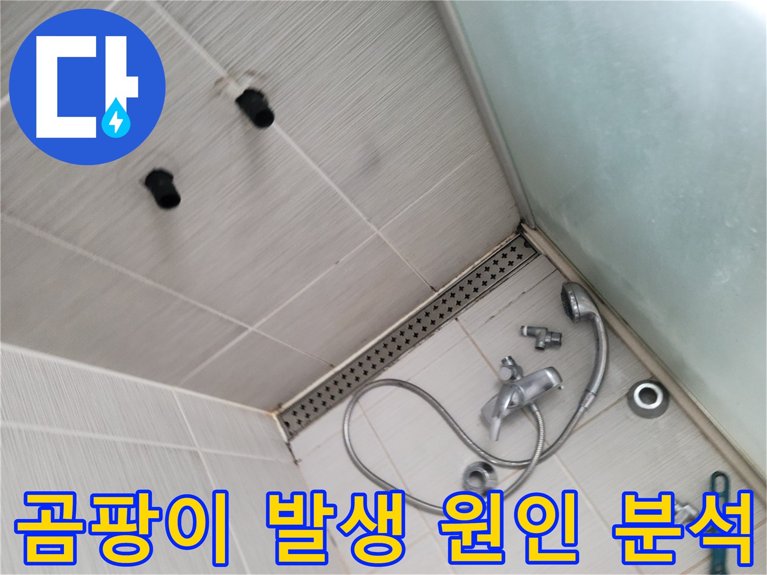 신창비바패밀리 샤워기 주변 곰팡이 발생 원인 정밀 분석 - 곰팡이는 누수의 신호