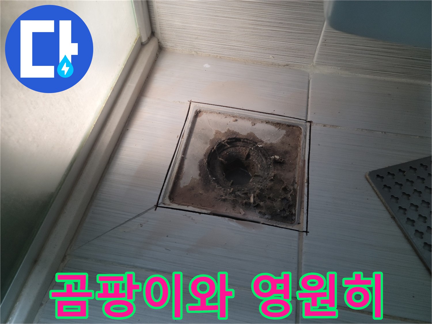 신창비바패밀리 욕실 배수구 주변 - 곰팡이와 영원히 안녕!