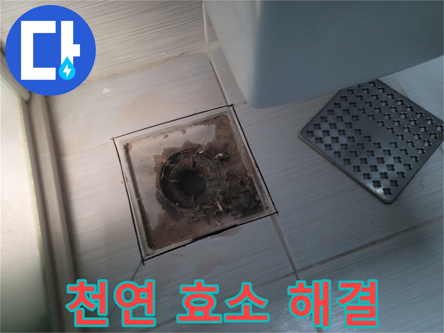 욕실 배수구 - 천연 효소 세정제 - 안심 시공