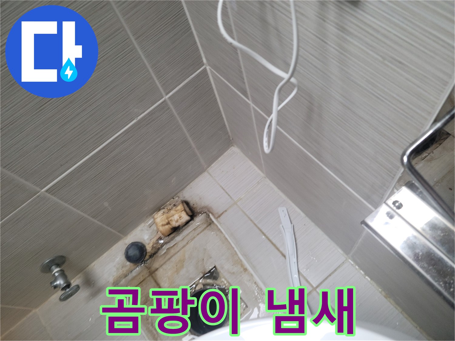 주택 욕실 하수구 주변 - 곰팡이 냄새