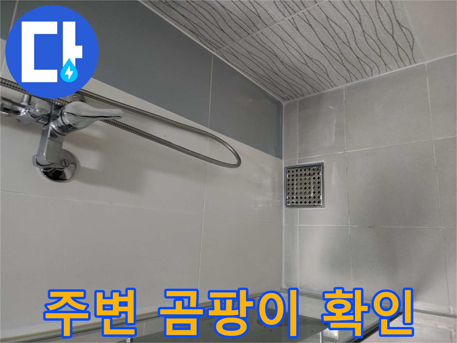 샤워기 누수 - 주변 곰팡이 발생 여부 확인