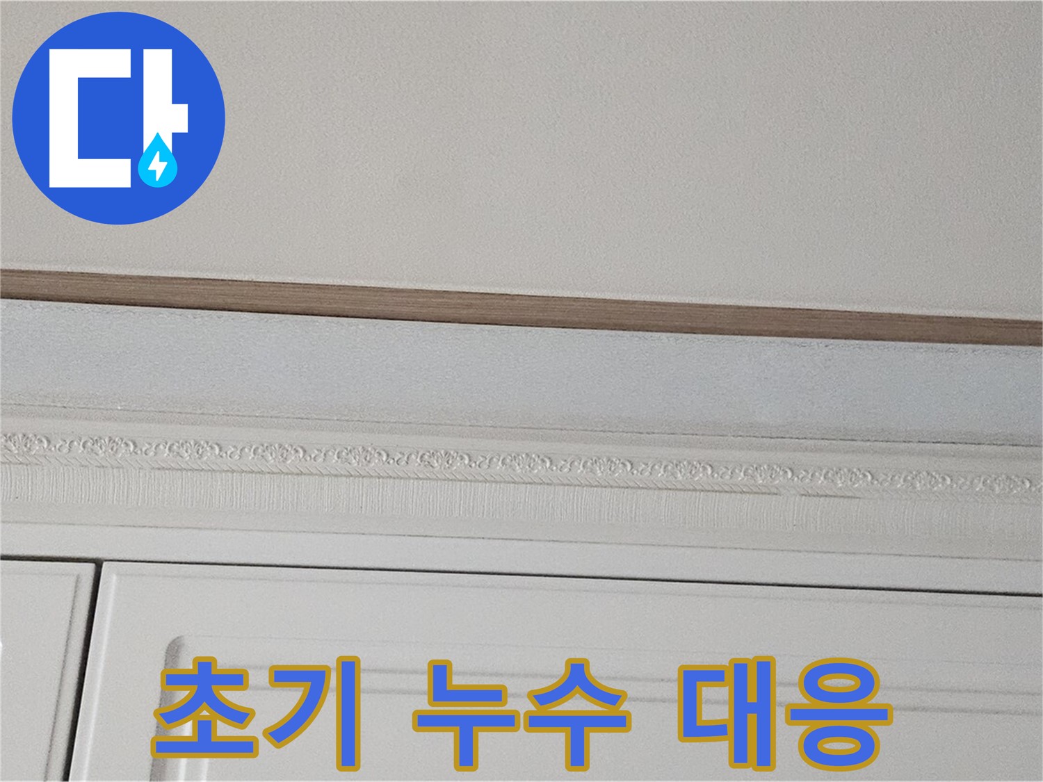 도봉동 현대시티 아파트 누수 - 붙박이장 천장 누수 초기 대응