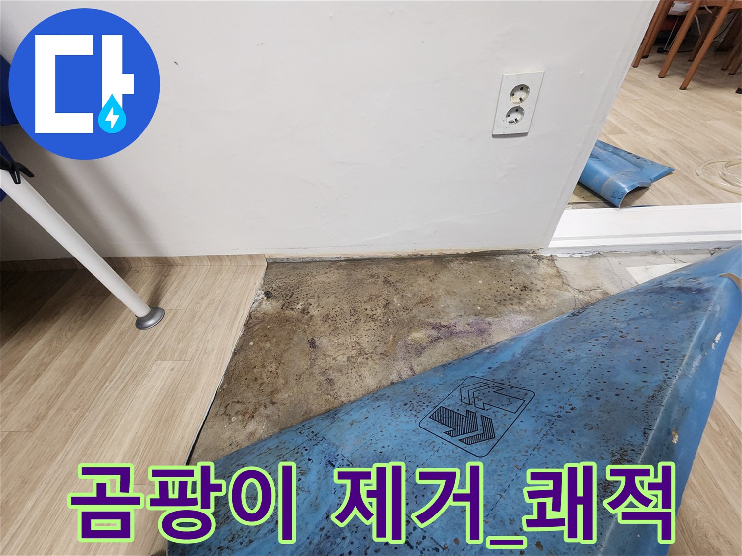 노원구 누수 - 장판 밑 곰팡이 제거 작업 - 쾌적한 환경 조성