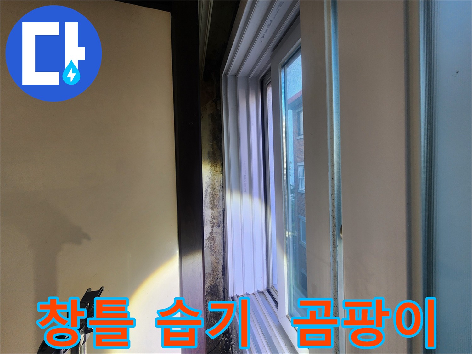 창틀 주변 곰팡이 및 습기 - 누수 또는 결로 복합 원인 추정