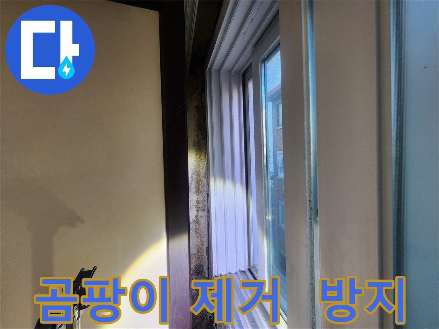 창문 주변 곰팡이 제거 및 재발 방지 - 누수 해결