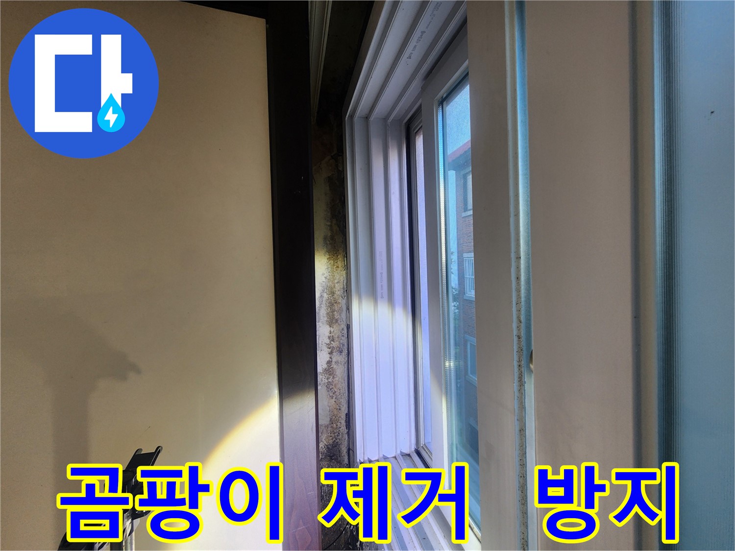 창문 주변 곰팡이 제거 및 재발 방지 - 누수 해결