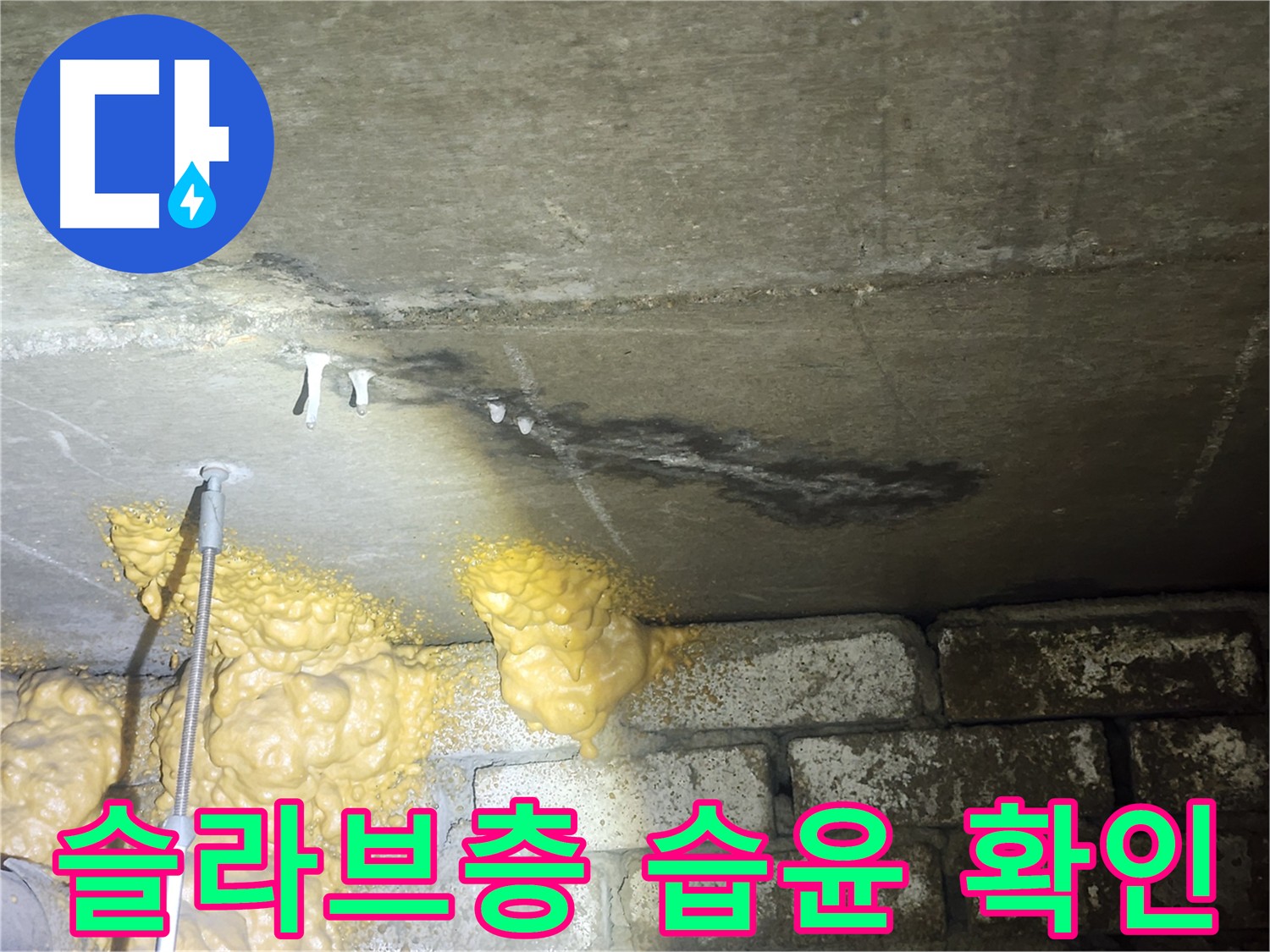 당산동 래미안 아파트 슬라브층 습윤 상태 - 누수 직접 증거