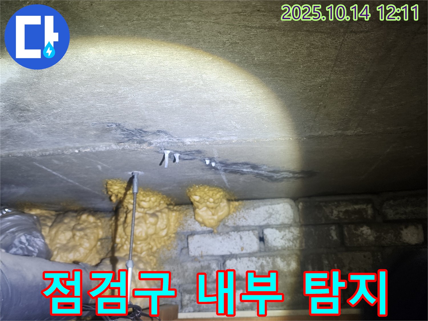 당산동 래미안1차 아파트 누수 탐지 - 화장실 점검구 내부를 꼼꼼하게 확인하여 누수 지점을 찾고 있습니다 - 전문 장비 사용
