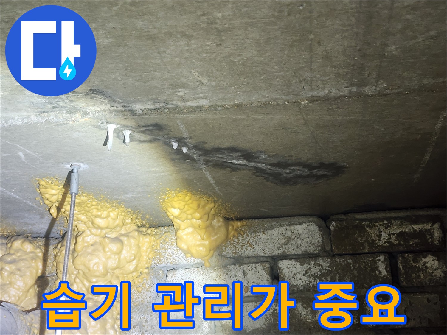 래미안 아파트 누수 - 석회수 종유석 초기, 습기 관리가 최우선입니다