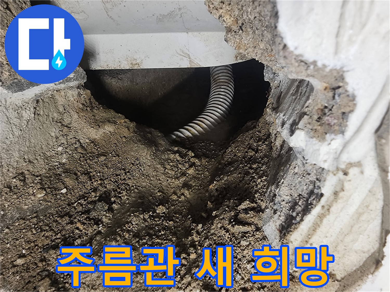 래미안당산1차 욕조 누수 - 좁은 공간 속 낡은 주름관, 새로운 희망을 품고