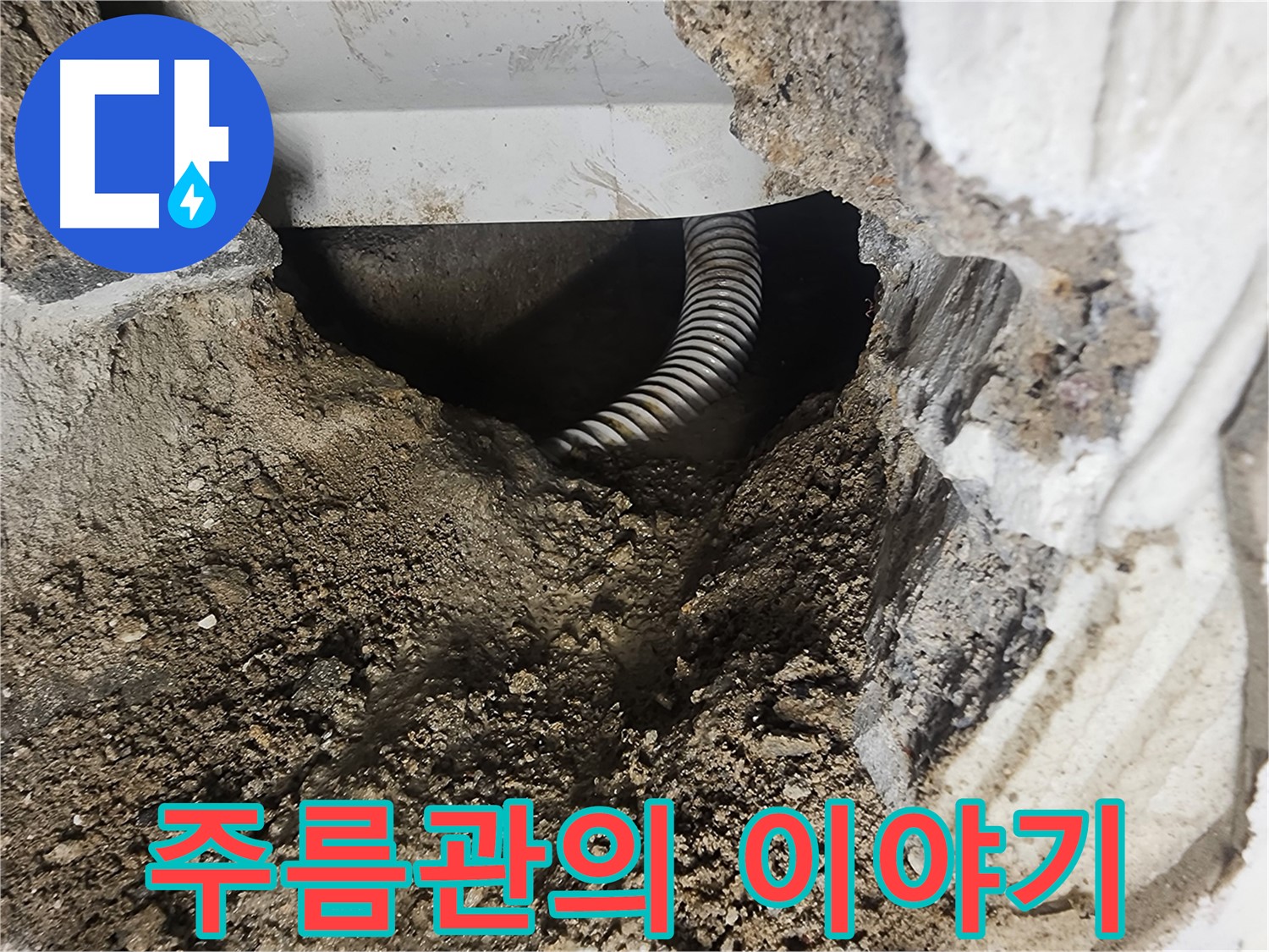 영등포구 당산동 래미안1차 아파트 - 욕조 밑 좁은 틈새, 주름관의 숨겨진 이야기