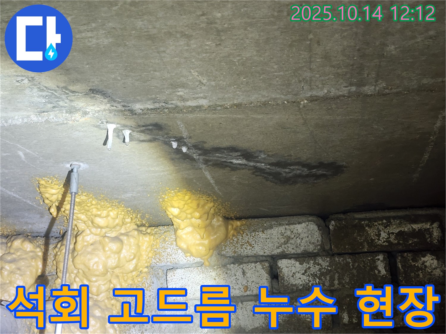 영등포구 당산동 래미안당산1차 아파트에서 발생한 석회 고드름 누수 현장 - 천장 슬라브층 젖음 확인
