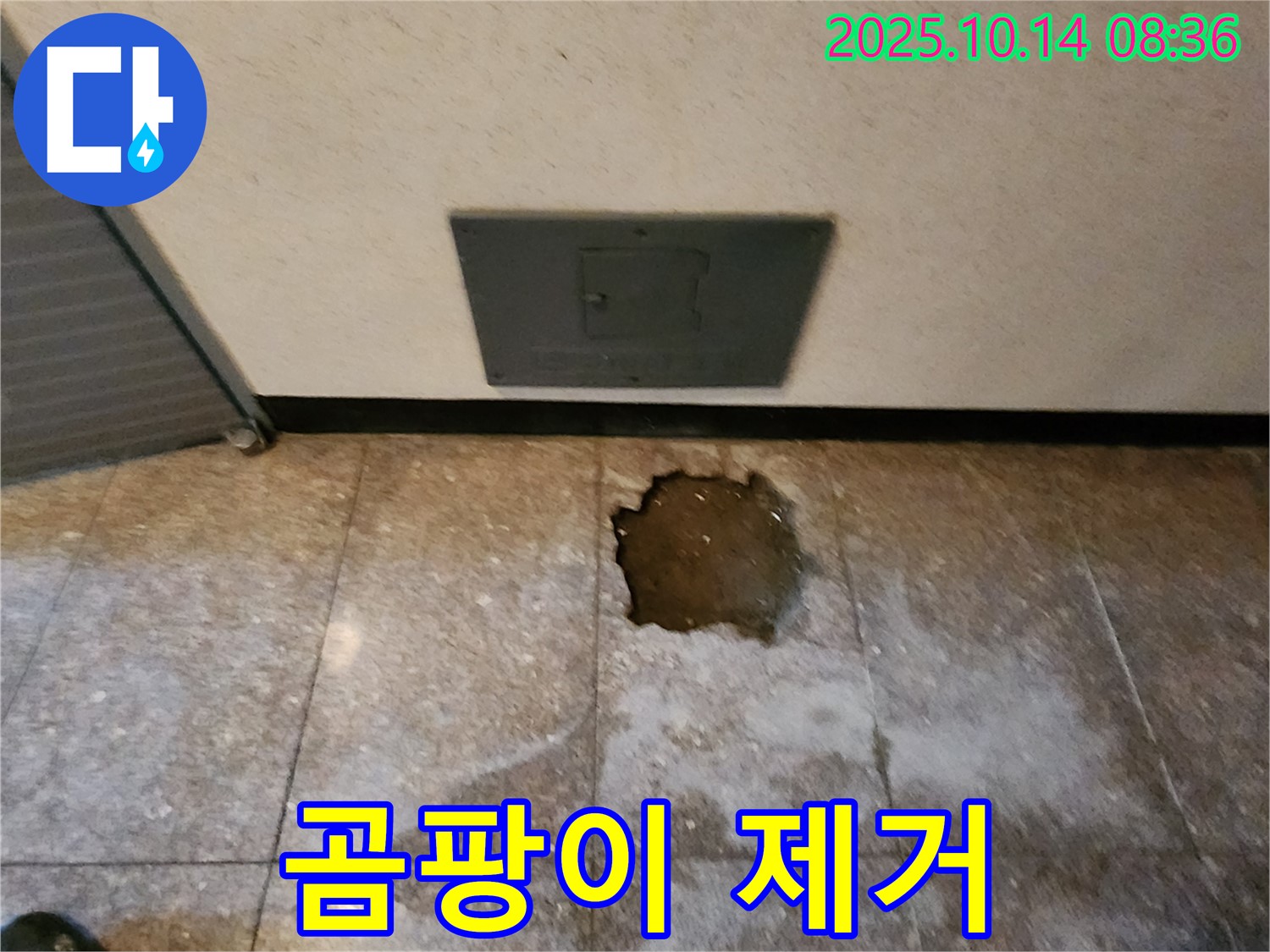 양주시 남면 두곡리 누수 현장 - 곰팡이 제거, 누수 해결 후 곰팡이까지 깨끗하게!