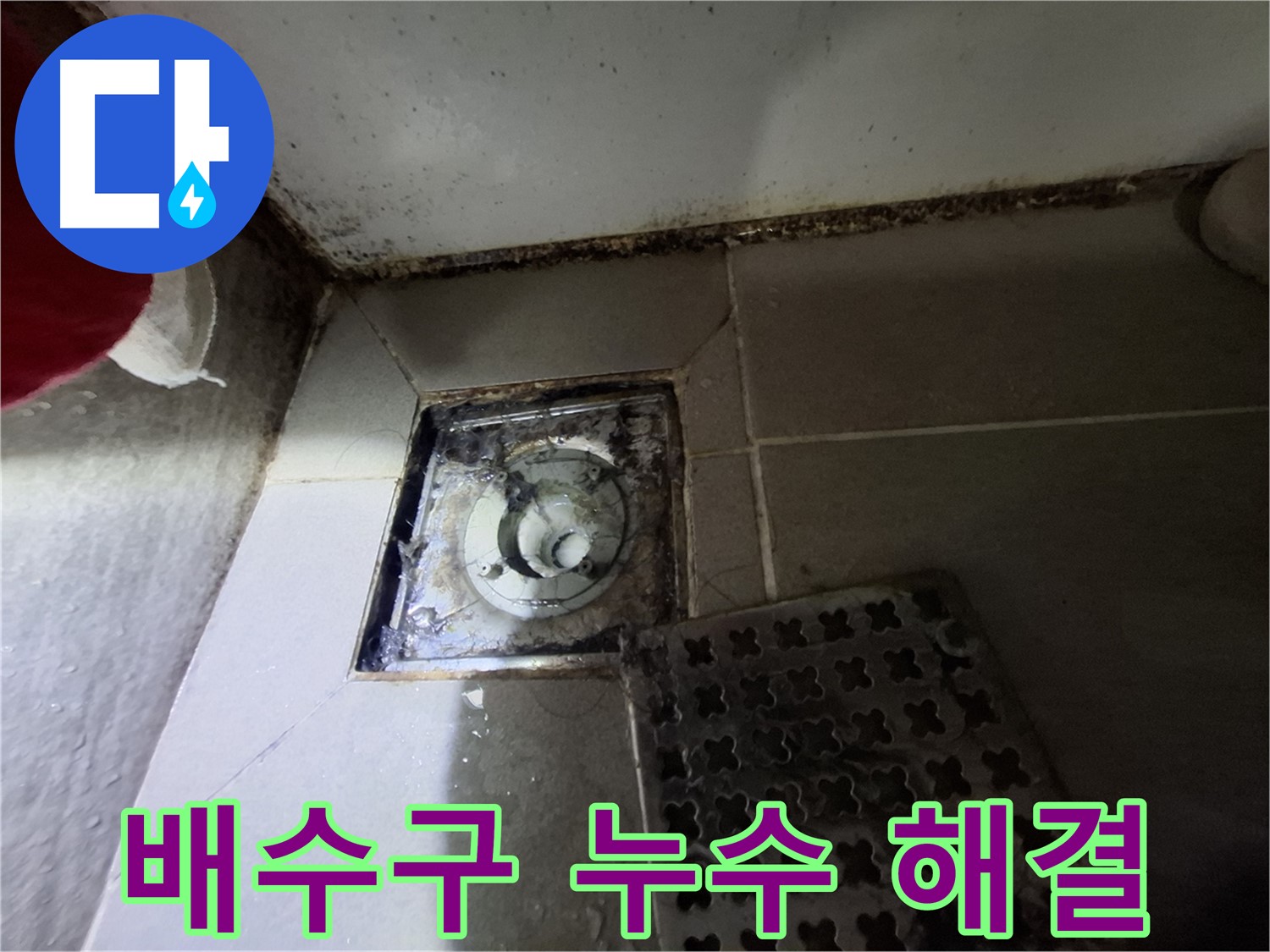 봇들마을 아파트 욕실 배수구 누수 - 전문적인 기술로 완벽하게 해결