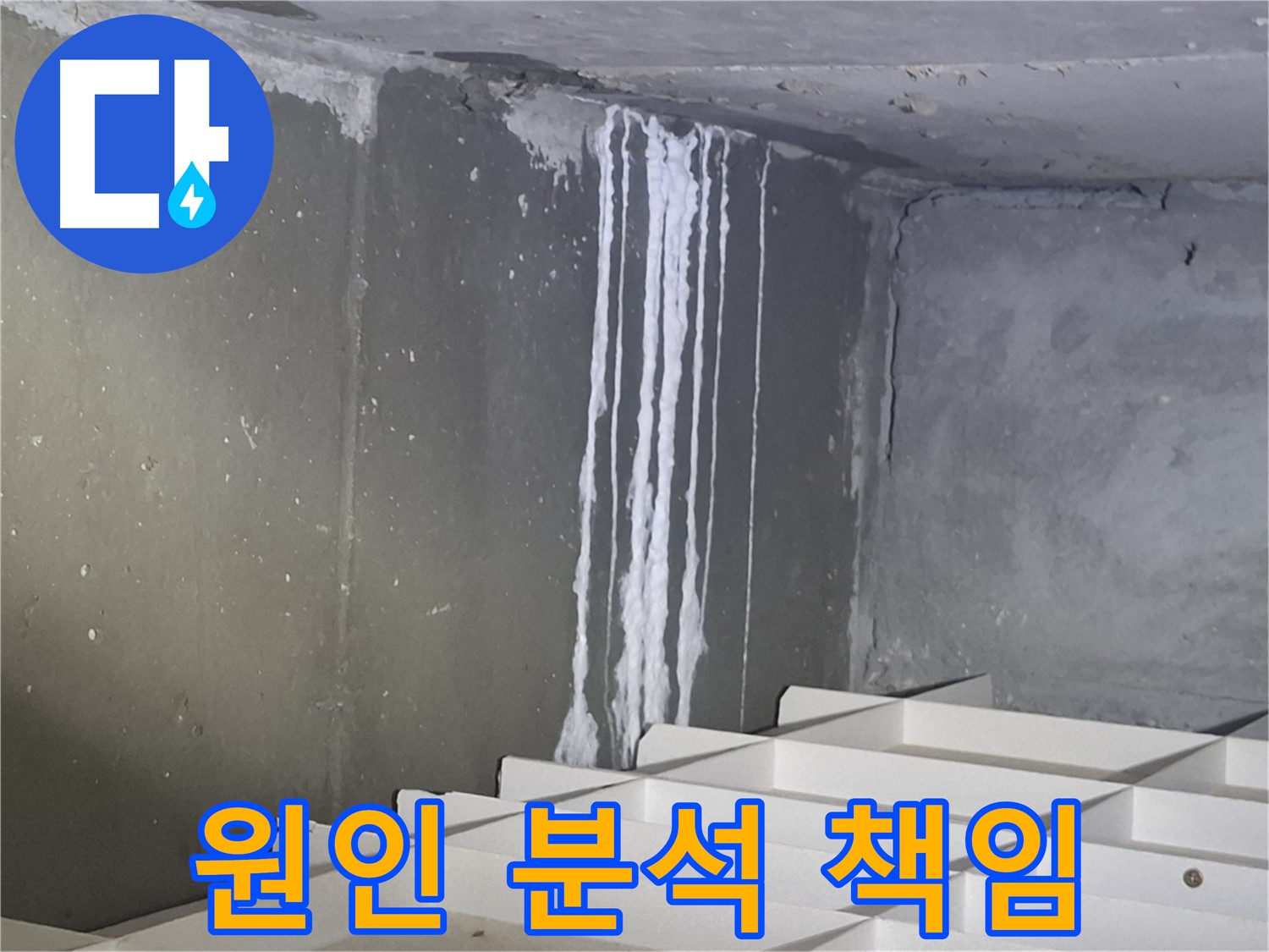 봇들마을2단지 아파트 누수 - 원인 분석부터 완벽 해결까지 책임