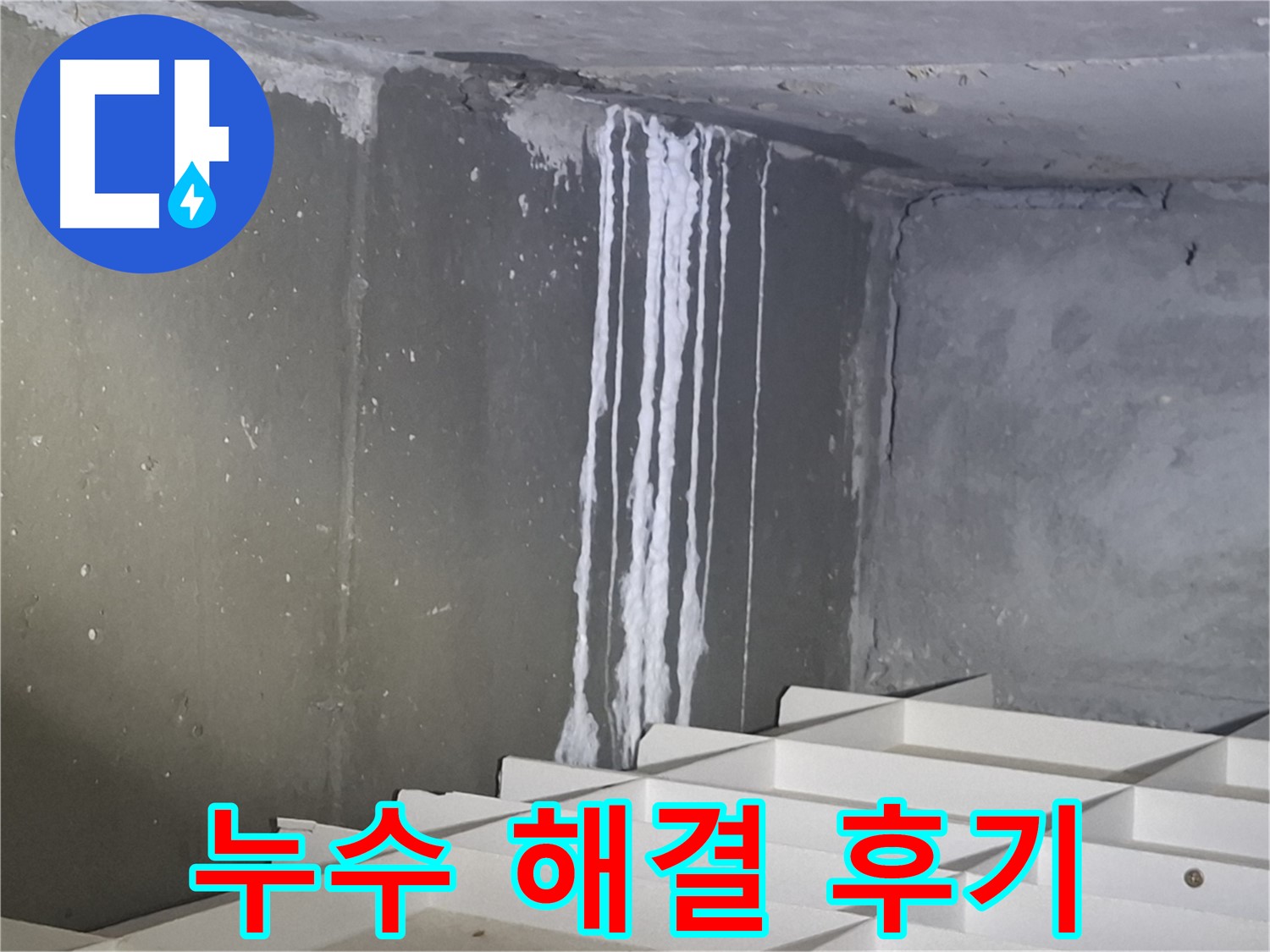 봇들마을2단지 아파트 누수 해결 - 완벽 시공 후 만족 후기