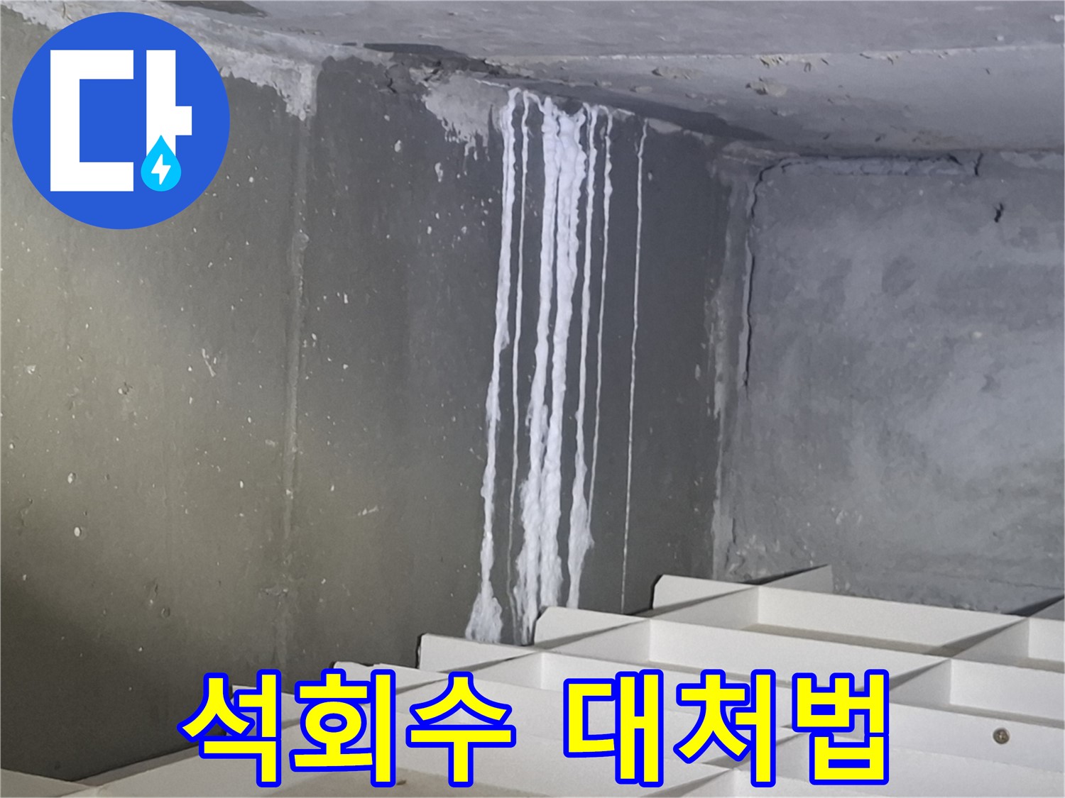 분당 봇들마을 누수 - 석회수 자국 발견 시 초기 대처법!