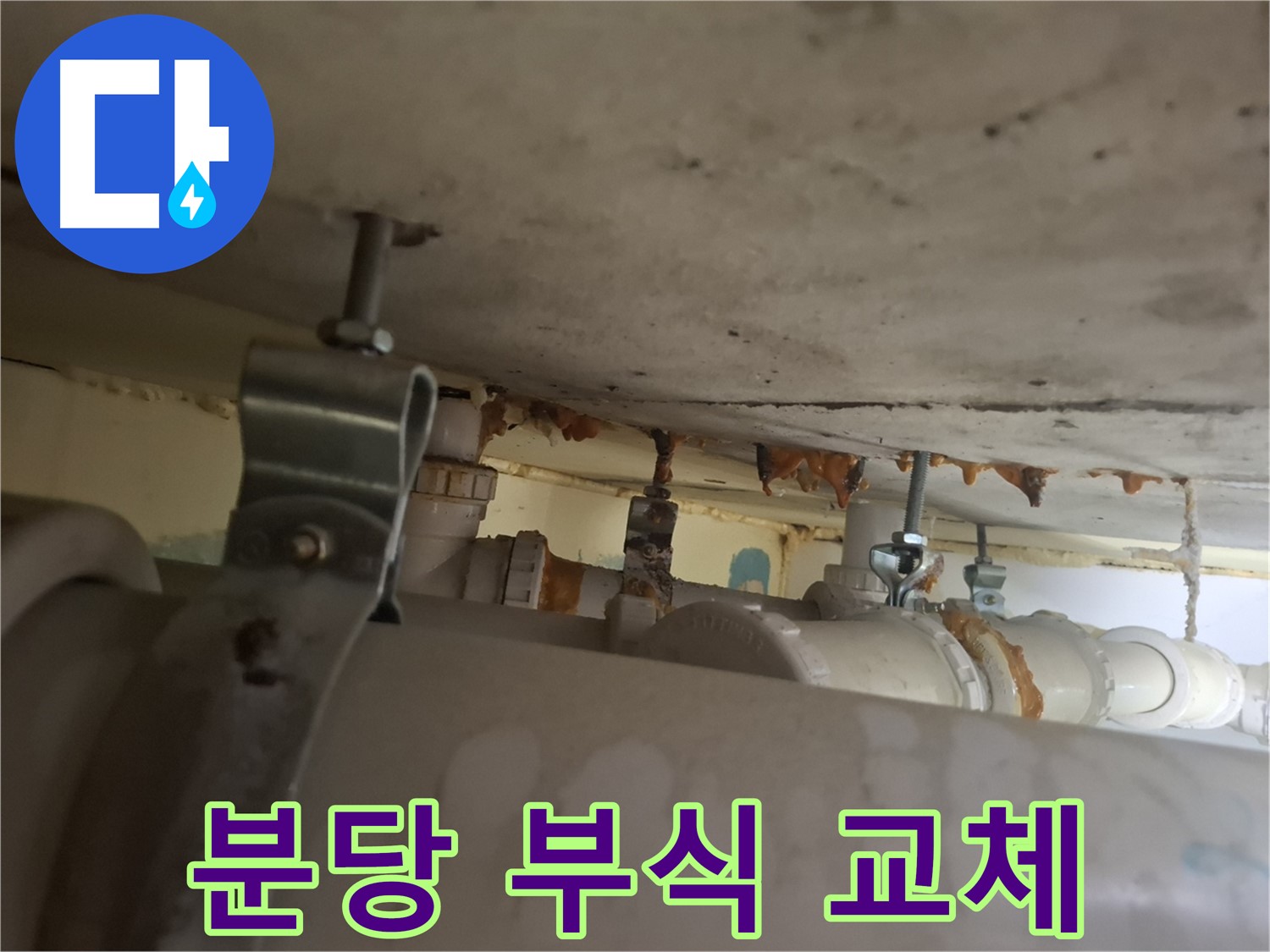 분당 봇들마을 아파트 - 배관 부식으로 인한 누수, 긴급 배관 교체 작업 진행