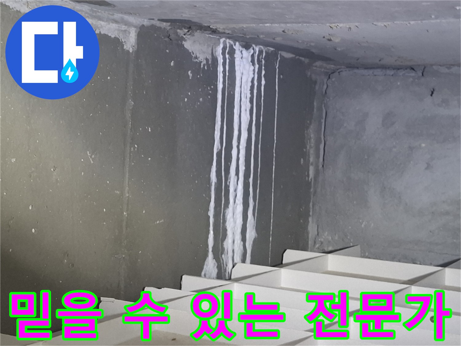 분당 봇들마을 아파트 - 지하 석회 누수, 믿을 수 있는 누수 전문가에게 맡기세요!