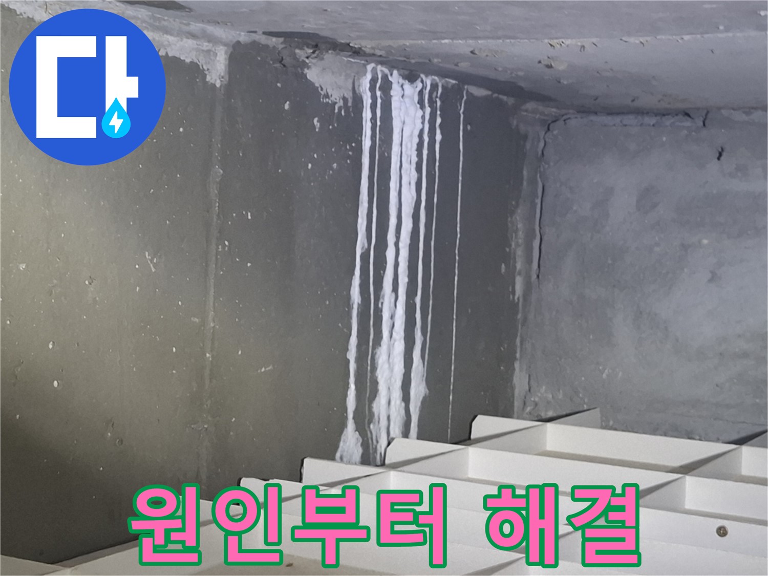 분당 봇들마을 아파트 - 지하 석회 누수, 원인부터 해결까지 책임