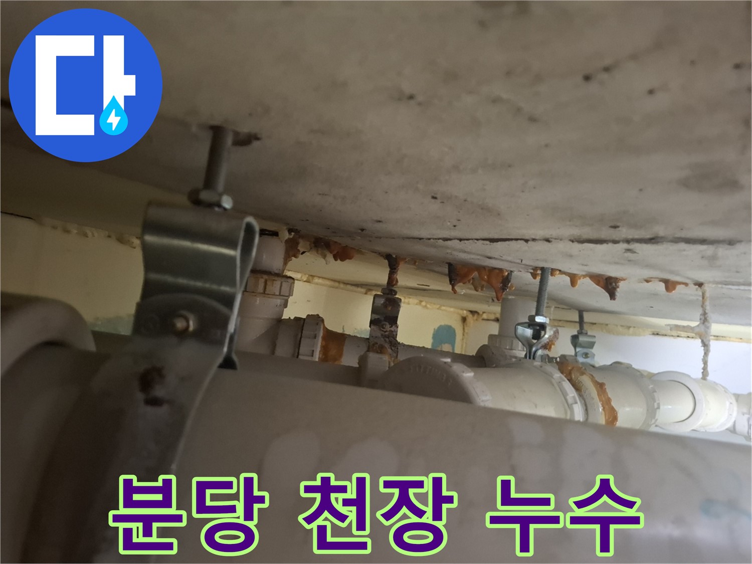 분당 봇들마을 아파트 - 천장 배관 누수 흔적 발견 - 정확한 원인 조사 중 - 신속 해결