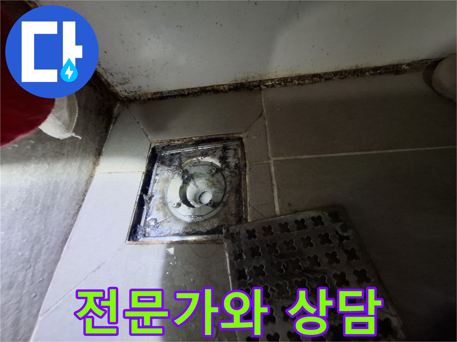 분당 봇들마을2단지 욕실 - 곰팡이 - 누수 초기 증상 - 전문가 상담