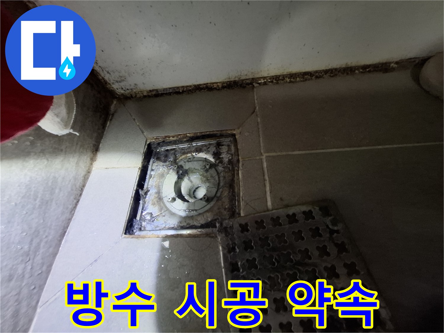분당 봇들마을2단지 욕실 - 곰팡이 완벽 제거 후 확실한 방수 약속