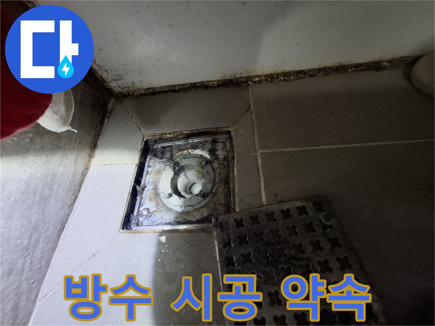 분당 봇들마을2단지 욕실 - 곰팡이 제거 후 완벽한 방수 시공 약속