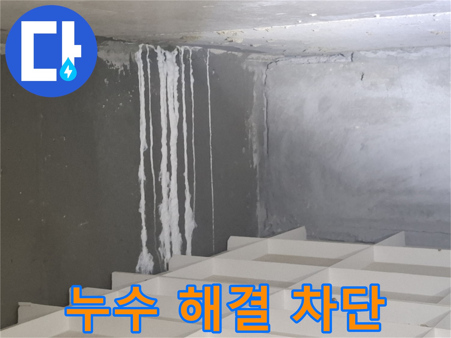 분당 삼평동 누수 해결 - 곰팡이와 백화 현상을 완벽하게 차단하는 전문적인 시공 과정