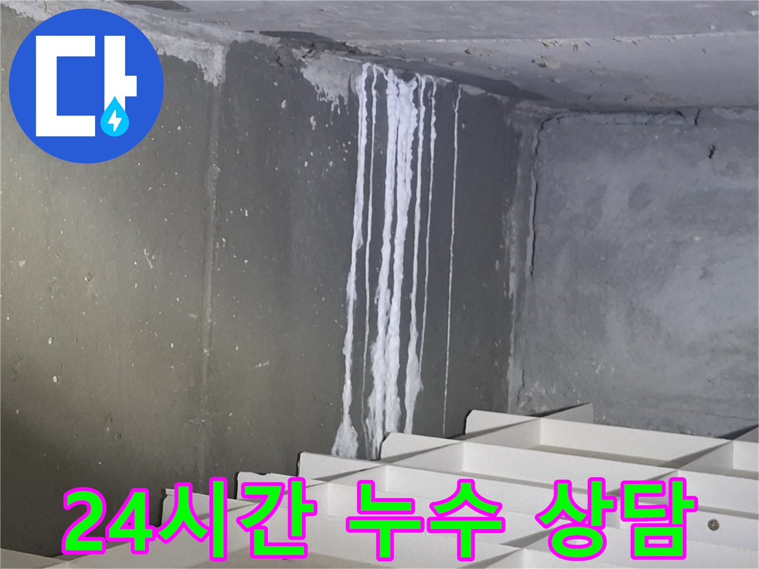 분당 삼평동 봇들마을 누수 - 24시간 긴급 상담 가능!