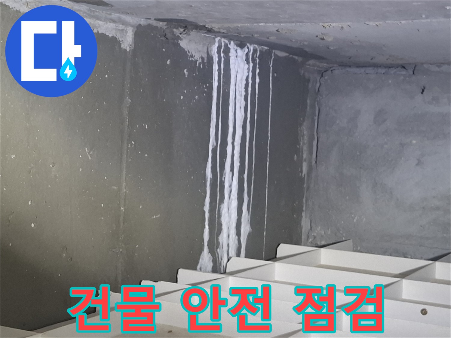 분당 삼평동 봇들마을 아파트 누수 - 주차장 천장 석회 누수, 건물 안전을 위해 지금 바로 점검하세요