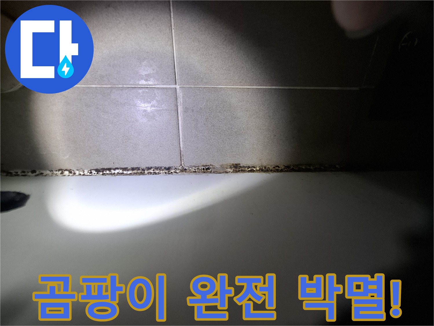 분당 욕조 곰팡이 완벽 해결 - 곰팡이 완전 박멸을 위한 최첨단 장비 시공