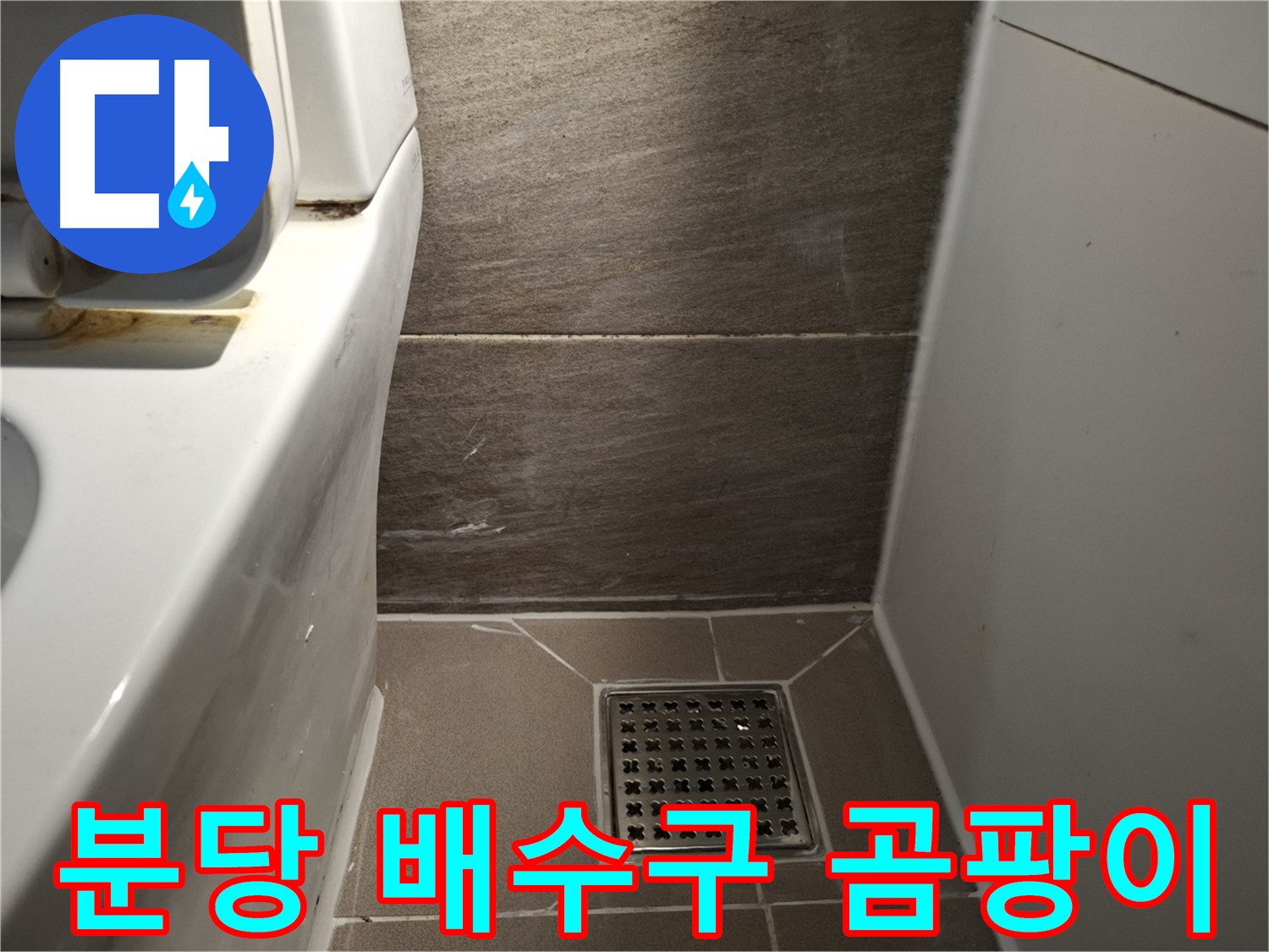 분당 화장실 배수구 주변 곰팡이 - 누수 때문일까?