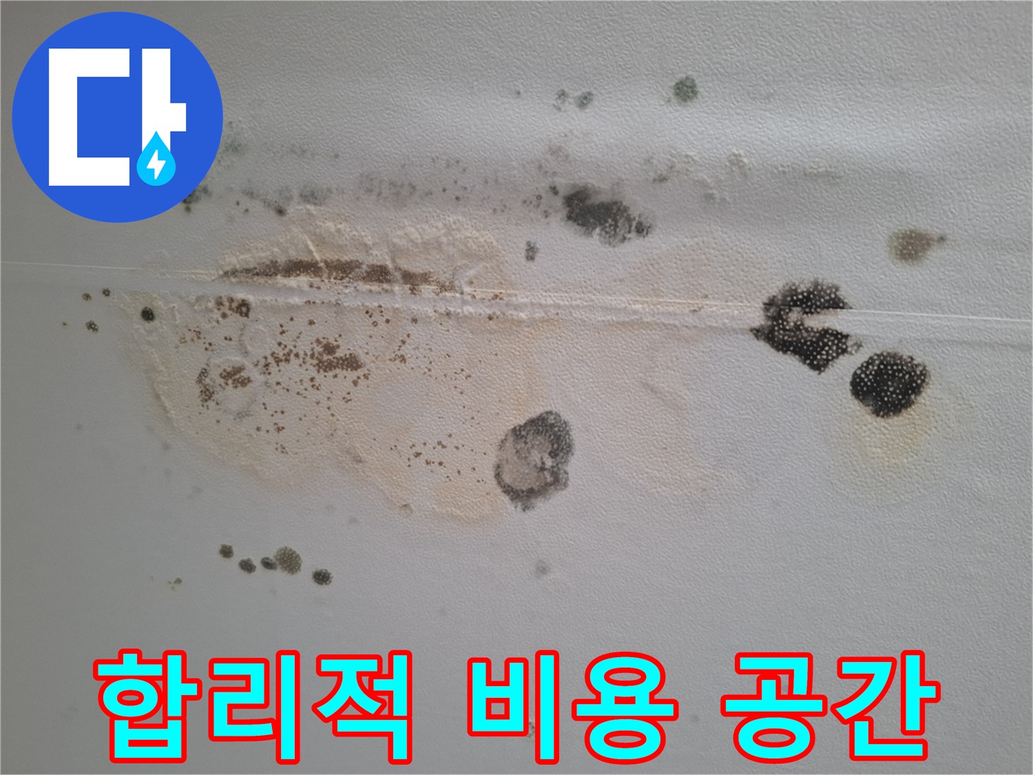 분당구 삼평동 누수 - 곰팡이 핀 천장, 합리적인 비용으로 쾌적한 공간을 만들어 드립니다