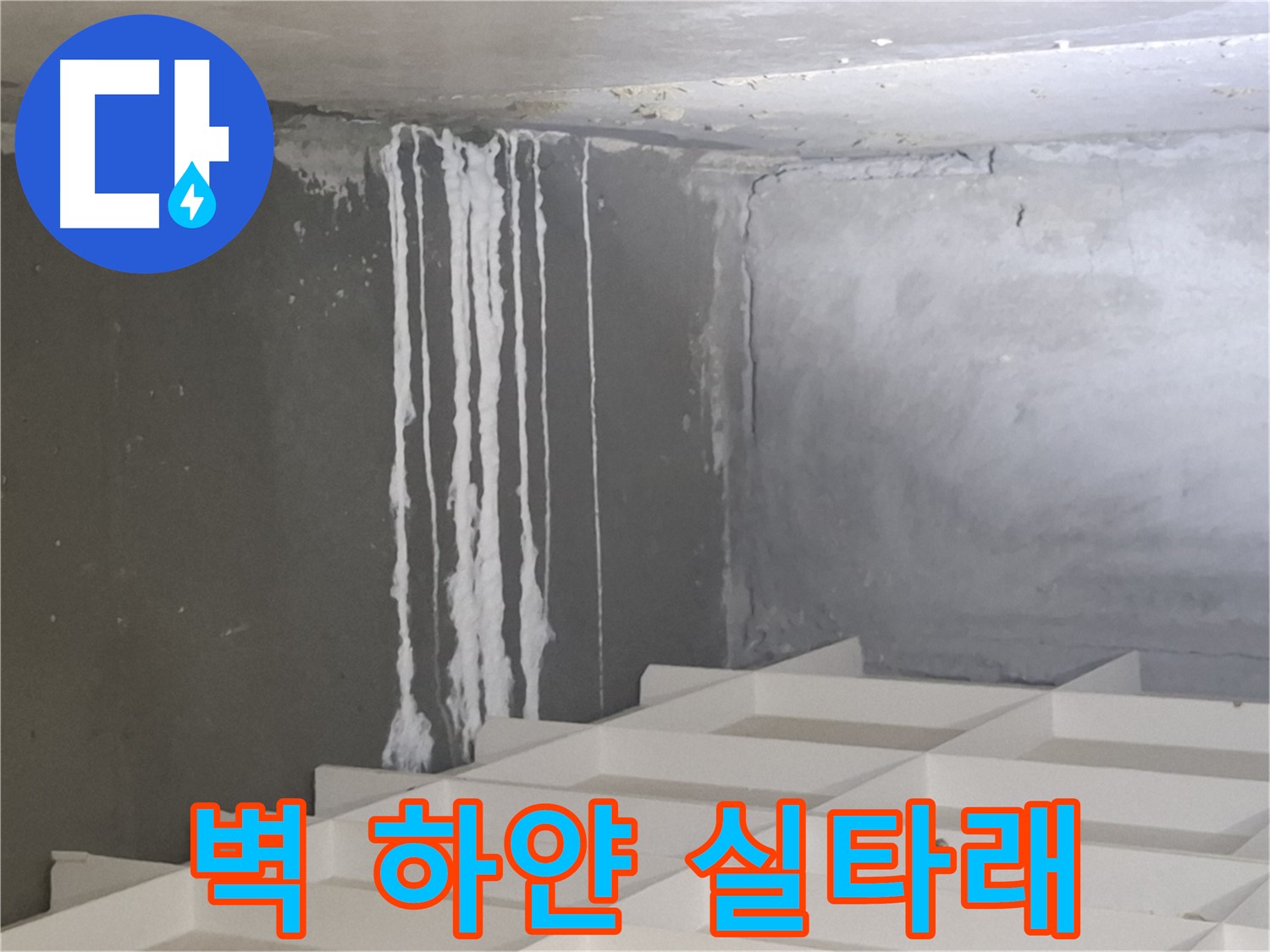 삼평동 누수 - 벽에 맺힌 하얀 실타래, 누수와 관련된 석회 성분일 가능성 정밀 분석