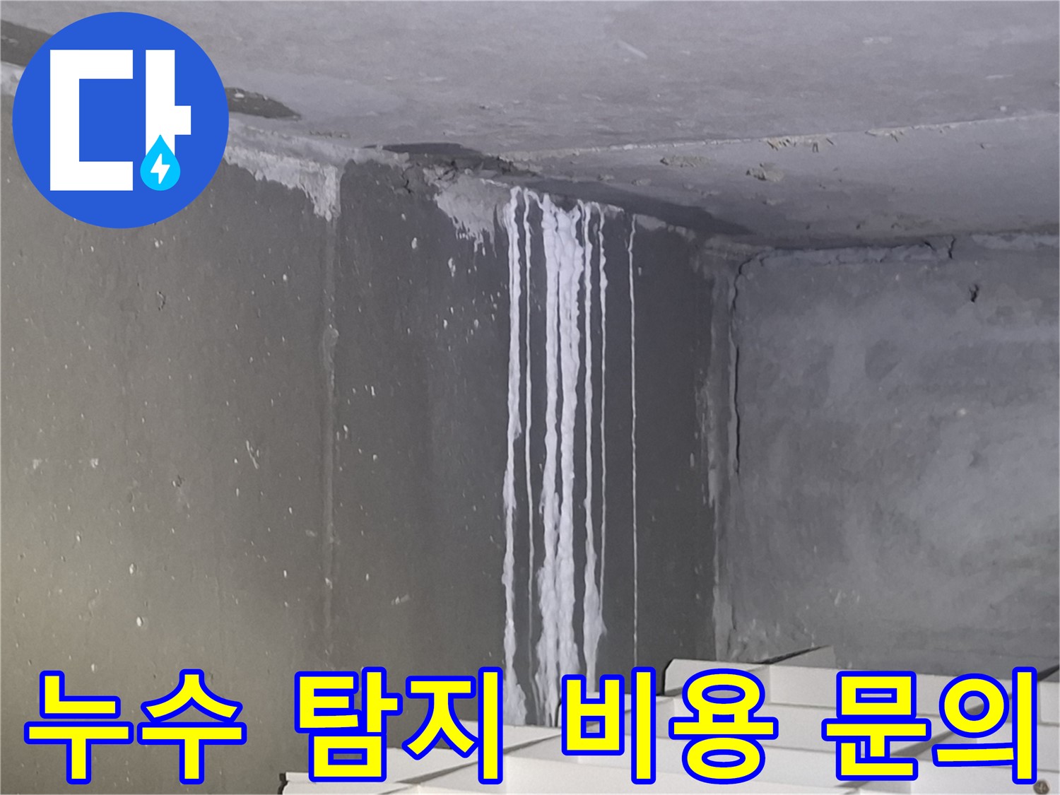 삼평동 건물 계단 누수 - 누수 탐지 비용 문의 환영