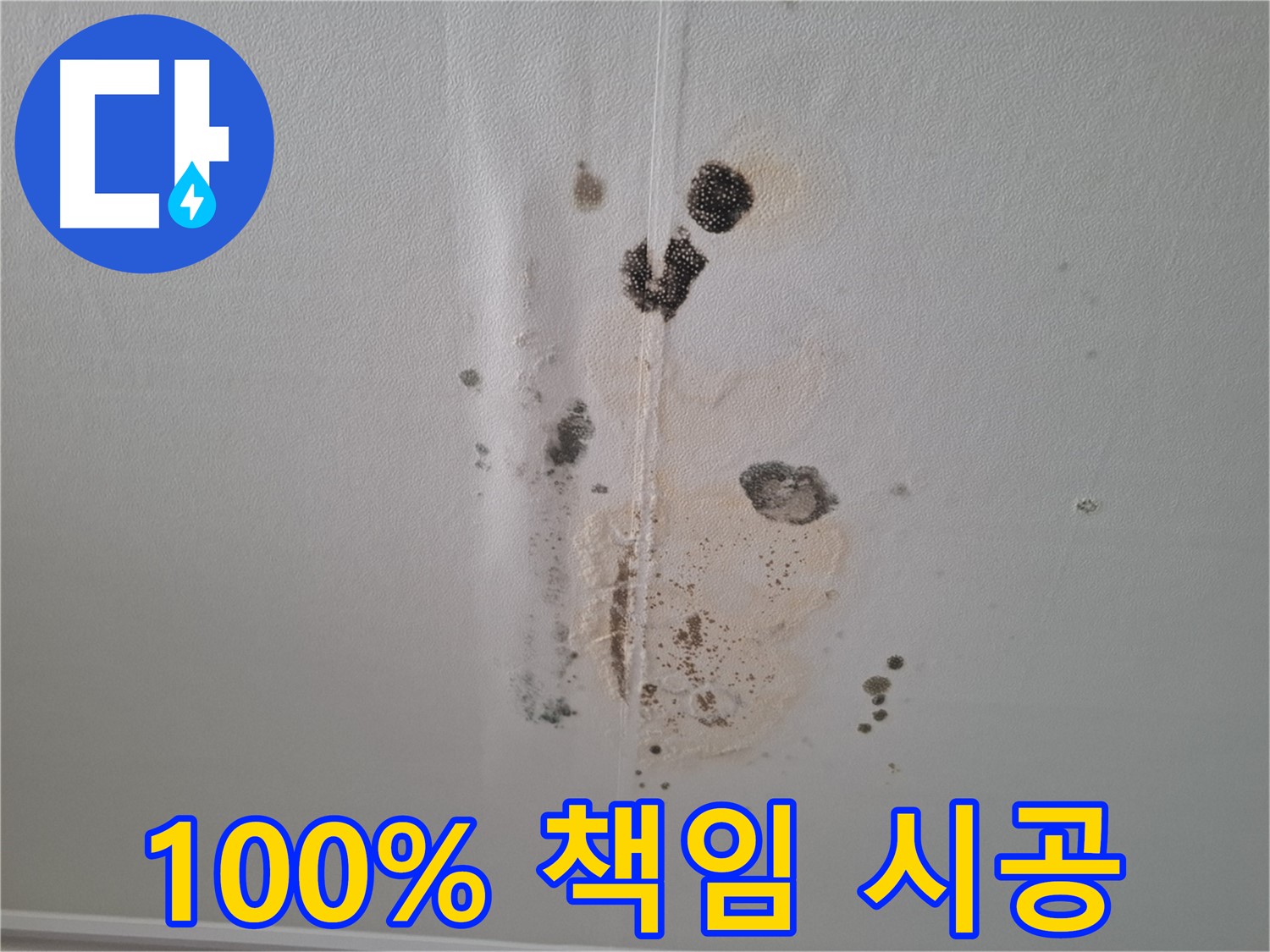 성남 누수 - 곰팡이 문제 100% 책임 시공 약속