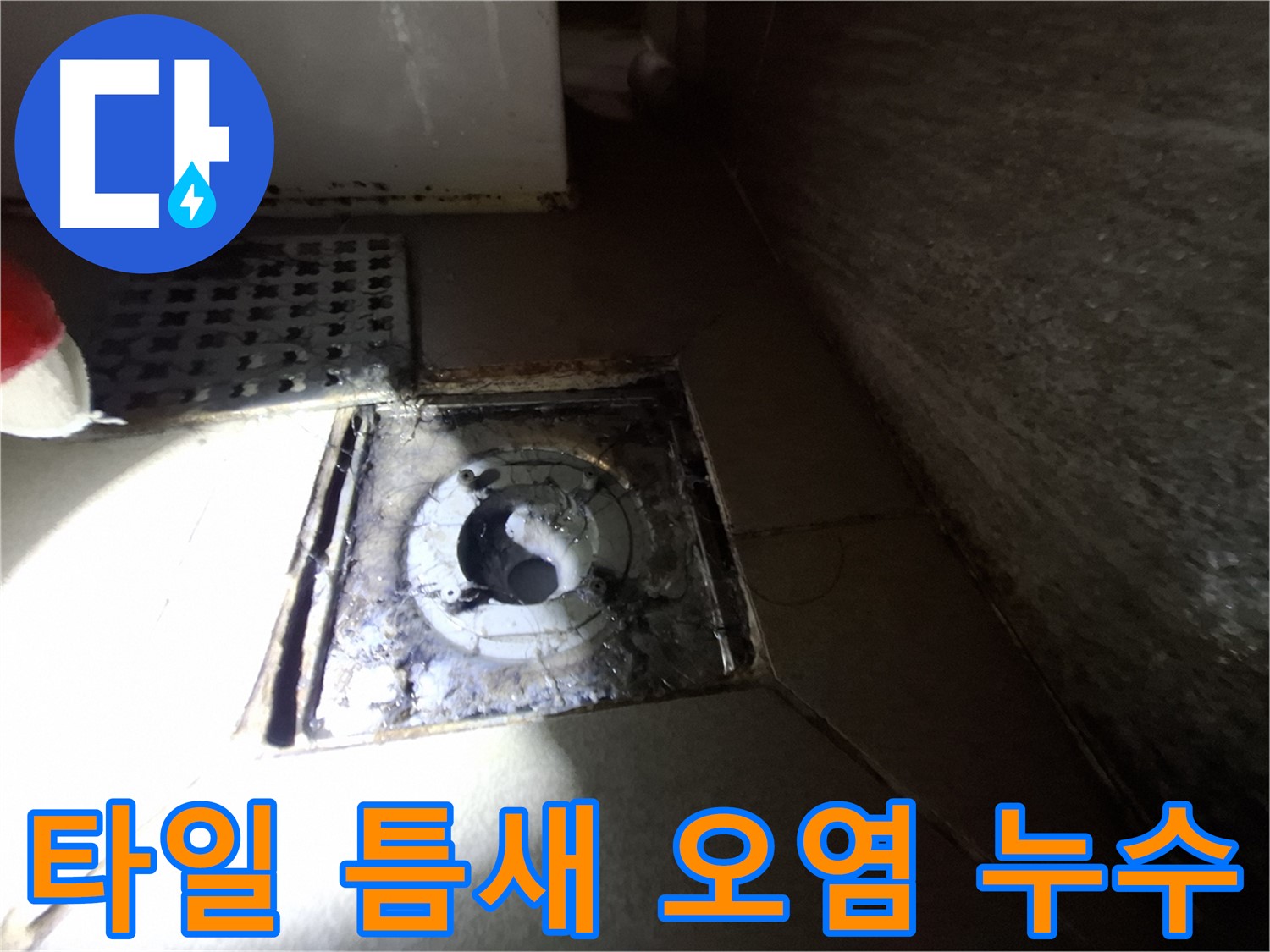 성남 봇들마을 욕실 타일 틈새 오염 - 누수 의심, 꼼꼼한 점검 필요