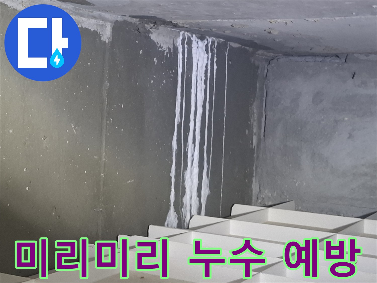 성남 봇들마을2단지 아파트 - 지하 석회 누수 예방, 미리미리 점검하세요!