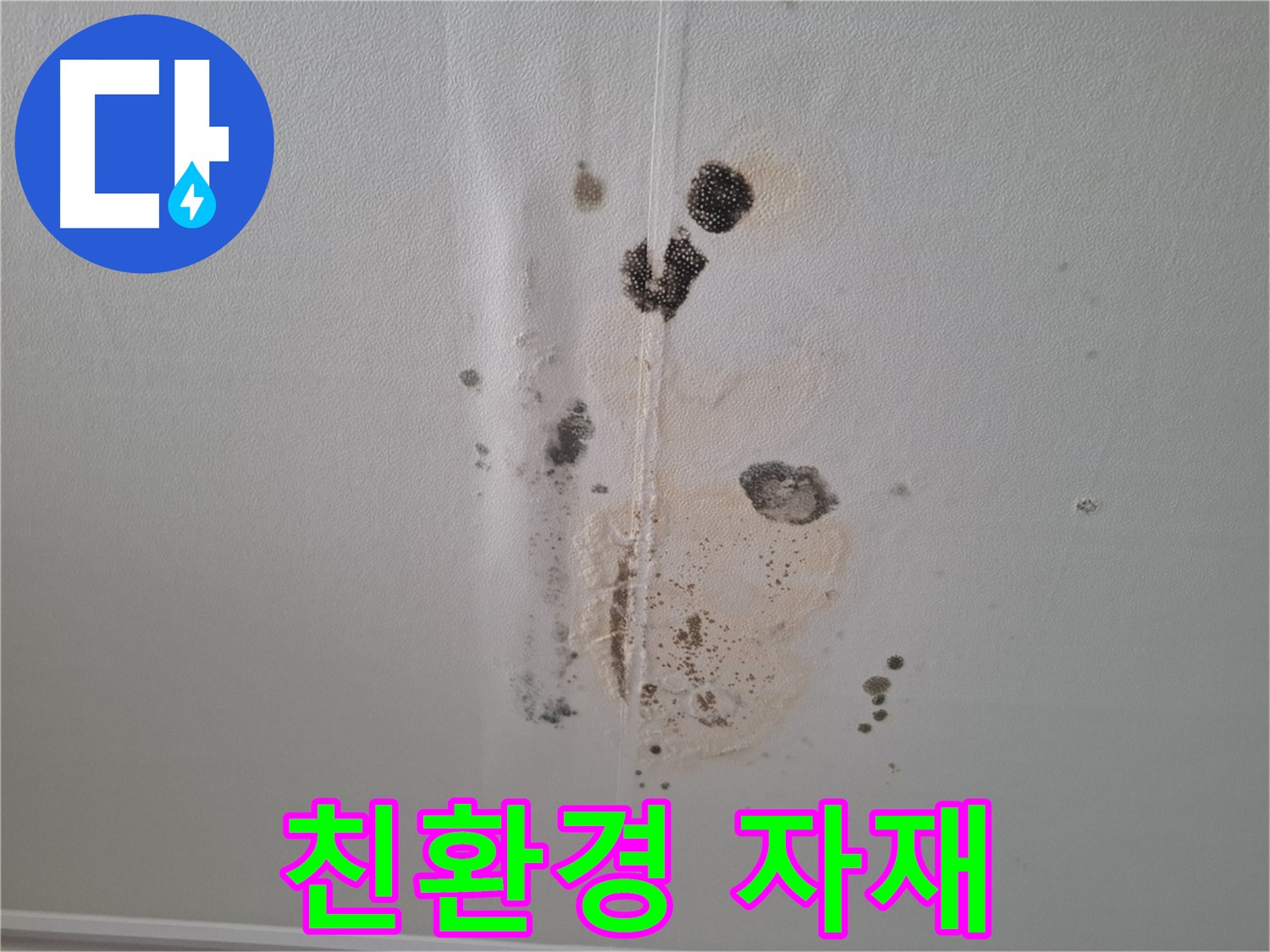성남 분당 누수 - 곰팡이 문제 친환경 자재 사용으로 안전하게 해결