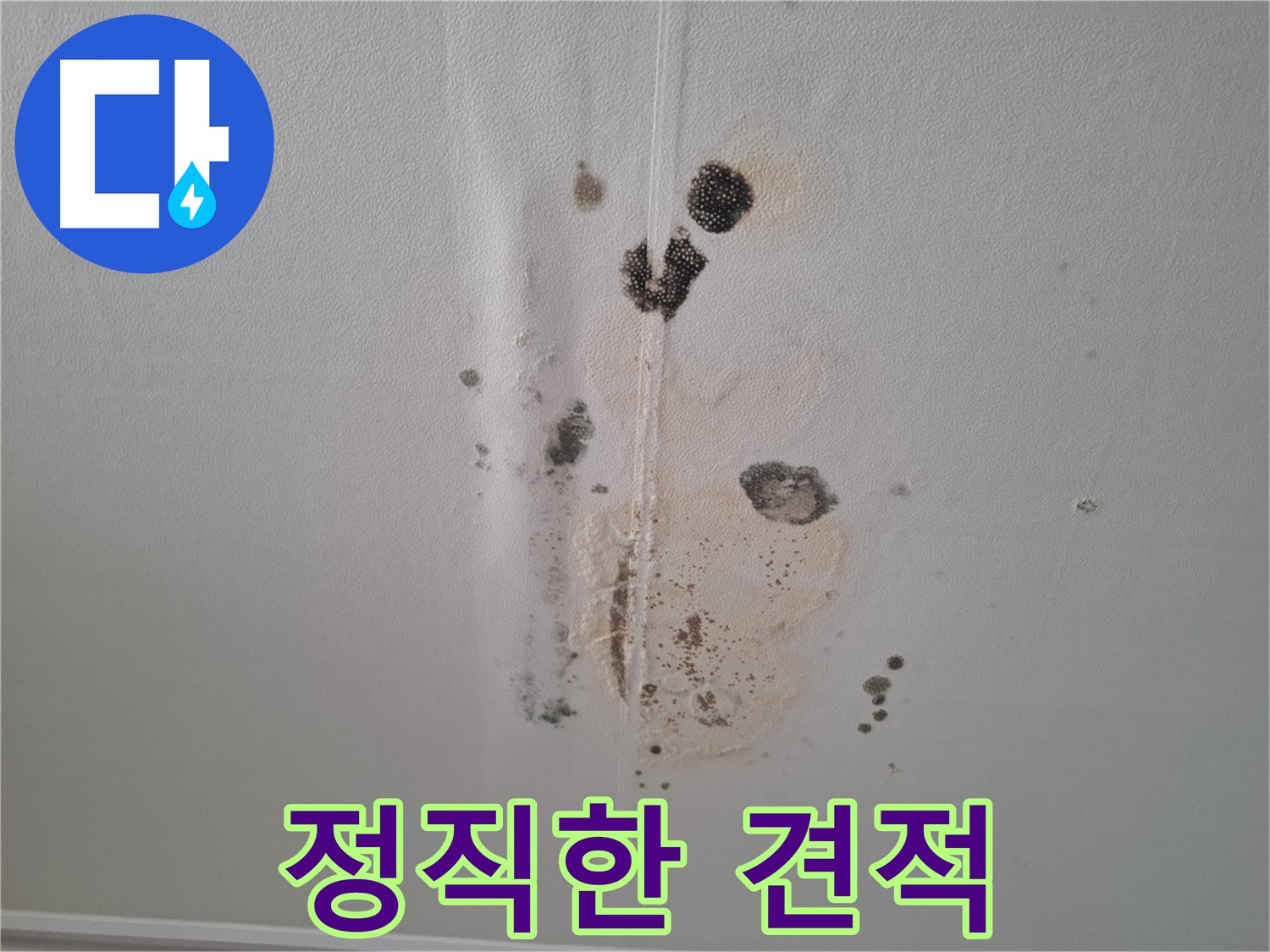 성남 삼평동 봇들마을 누수 - 정직한 견적으로 확실한 누수 보수
