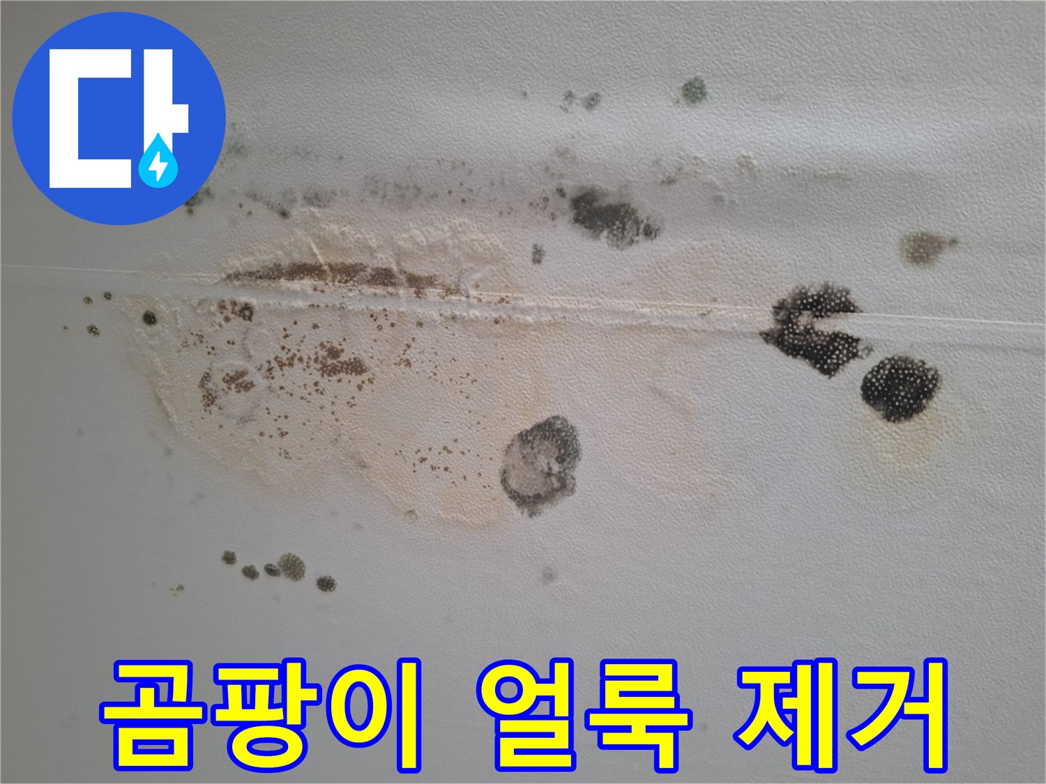 성남시 분당구 삼평동 곰팡이 누수 - 곰팡이 얼룩, 완벽하게 제거해 드립니다