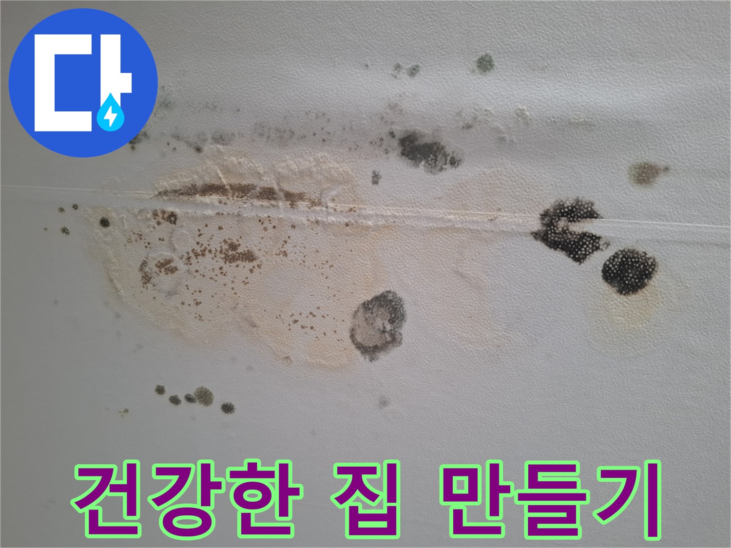 성남시 분당구 삼평동 누수 - 곰팡이 핀 천장, 건강한 집 만들기 프로젝트를 시작하세요