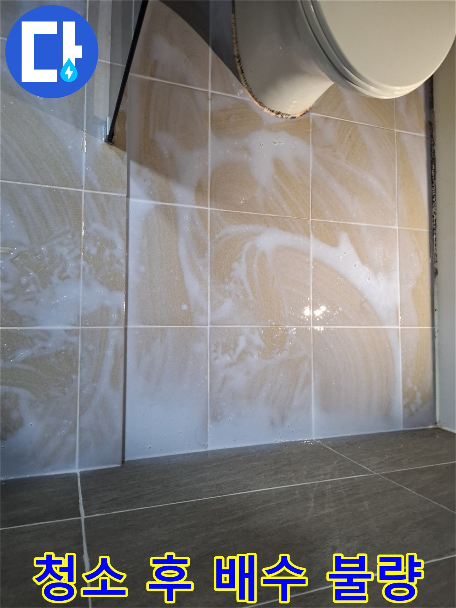 성남시 분당구 화장실 누수 - 청소 후 배수 불량 - 누수 의심!